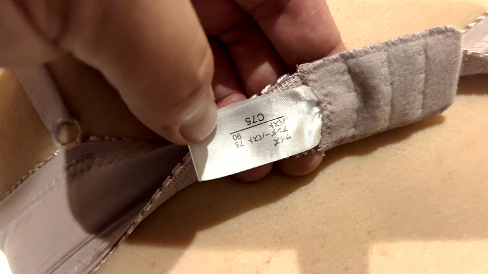 深夜新宿で路上保護した20歳専門学生 見た目に反し清純な下着 ぴちぴち豊満尻に我慢できず生挿入