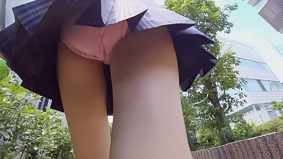 サルサ独愚