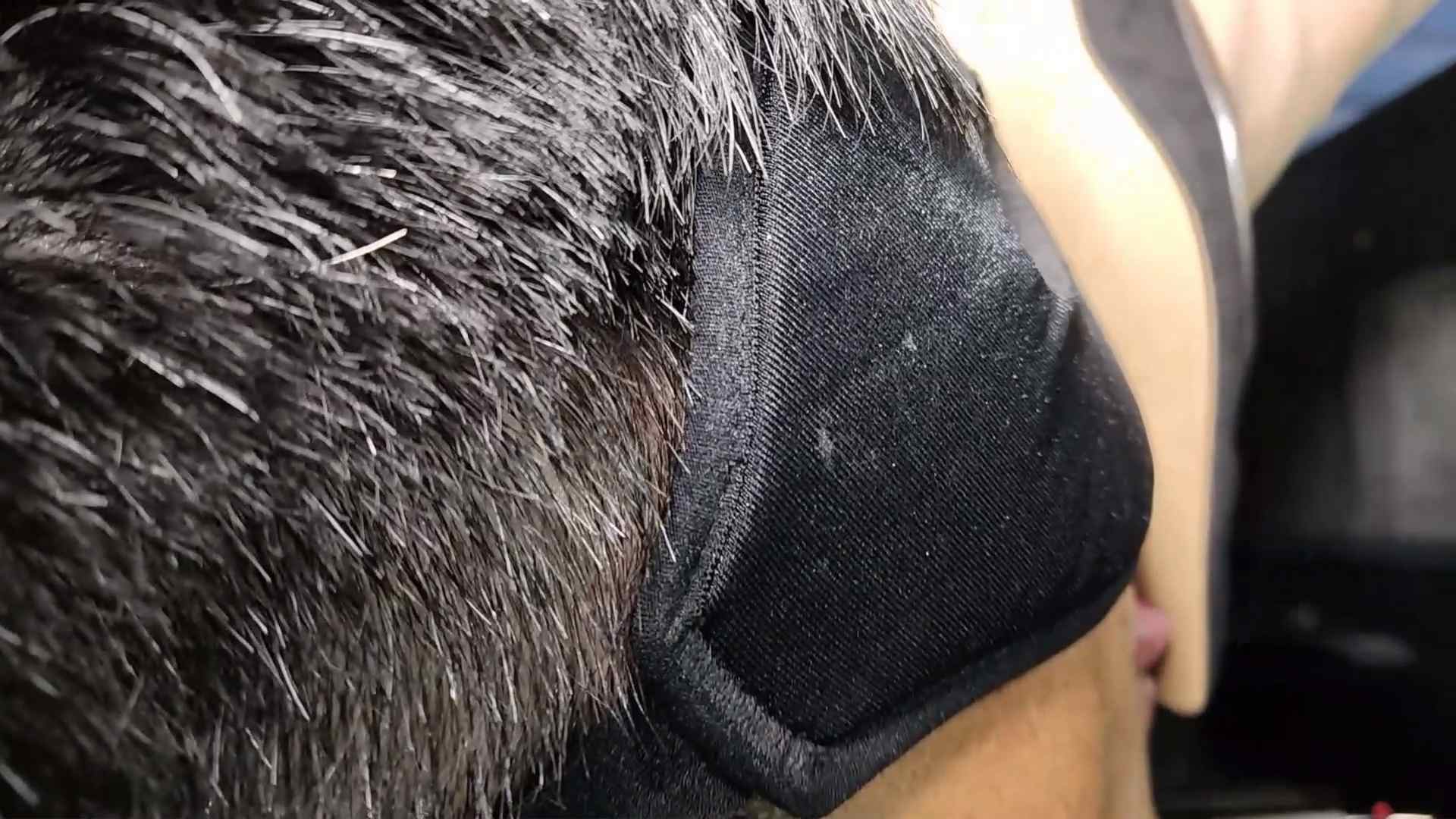 foot