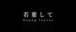 Pcolle PPV 春だから、ほら……ね。～第一章～