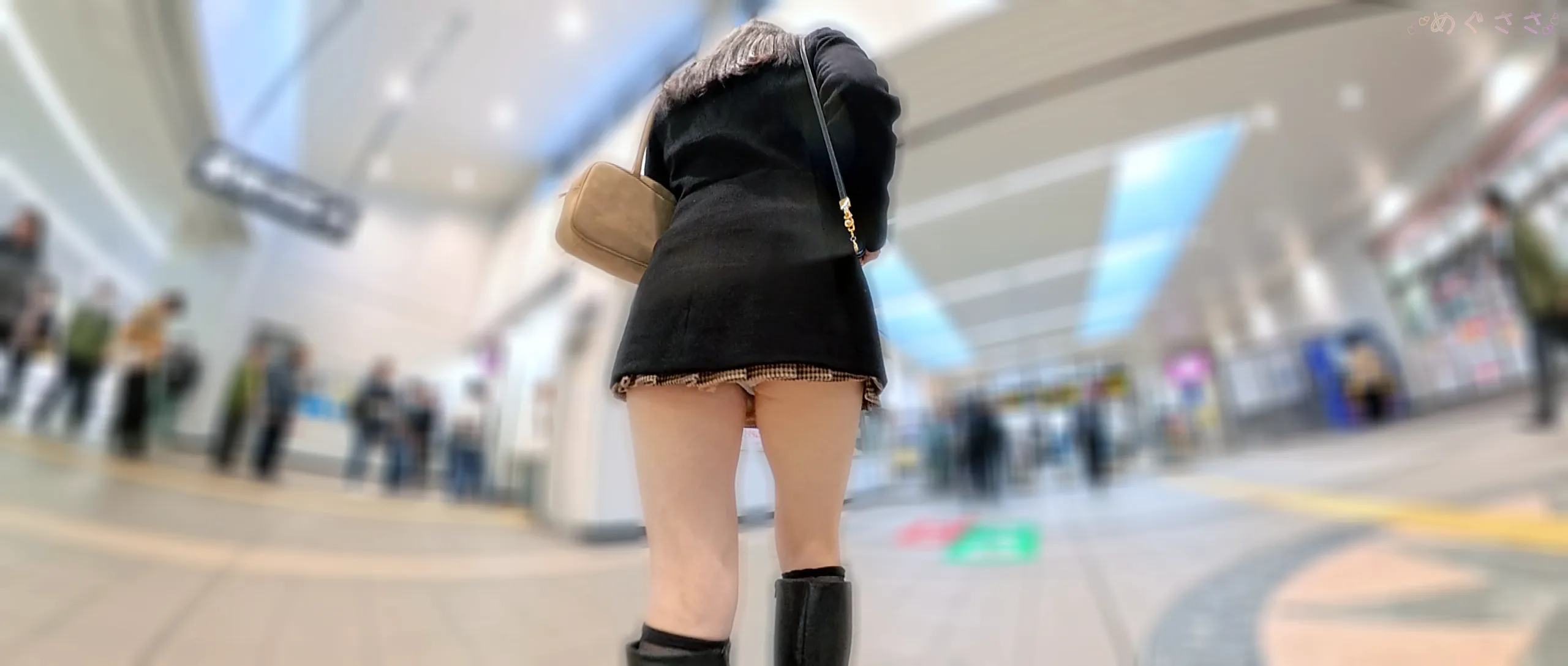 めぐささ