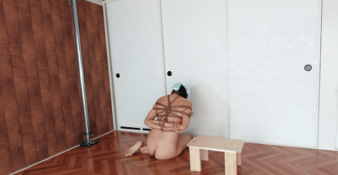 うしろすがたのみき