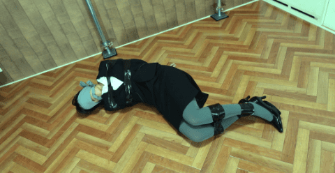 うしろすがたのみき