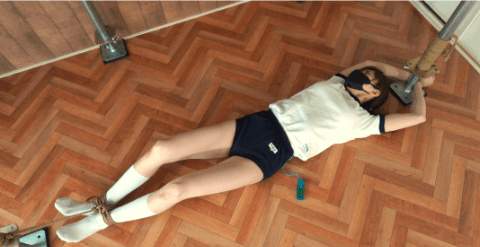 うしろすがたのみき
