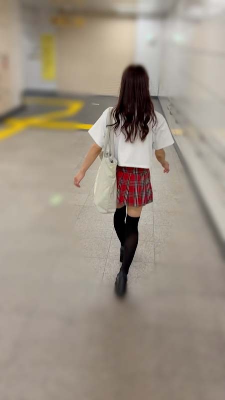 ミニスカ愛好家