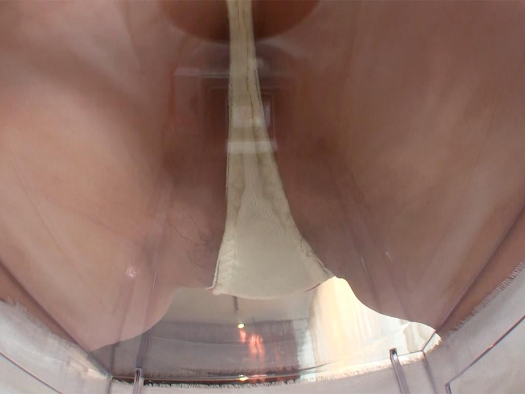 パンティ伯爵