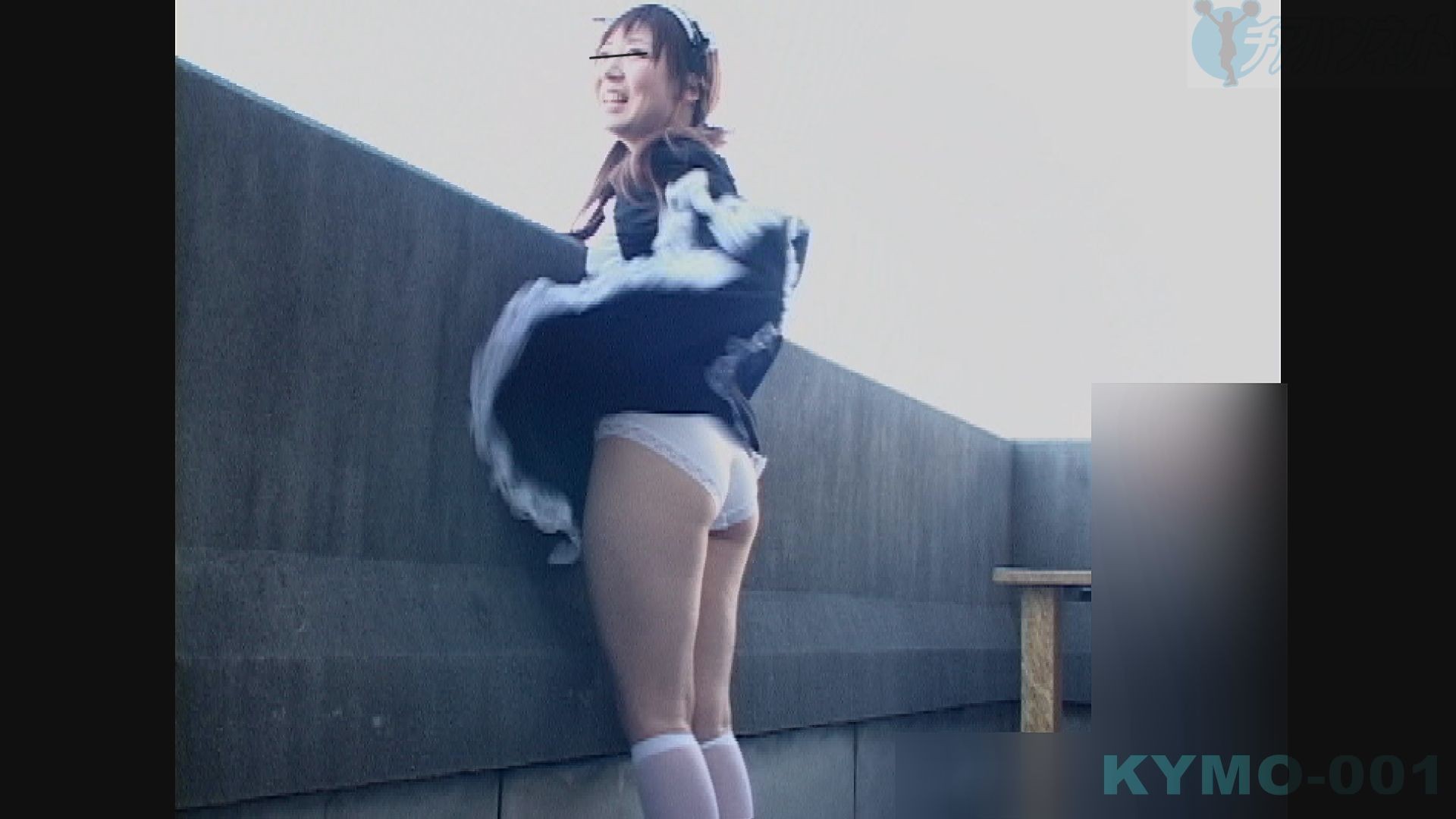 チアパンネット