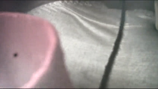 【盗撮】【パンチラ】4人の女子小学生のスカート内部検証結果はみんな生パンティ