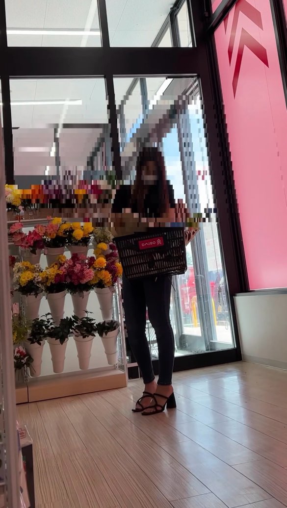 神速のファルコ