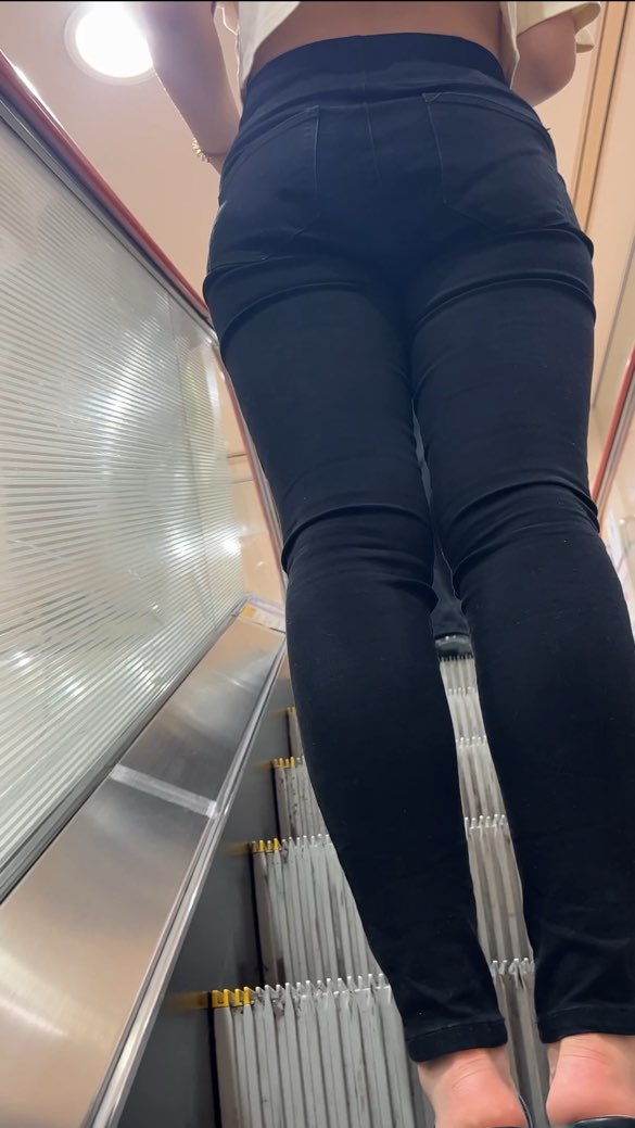 神速のファルコ