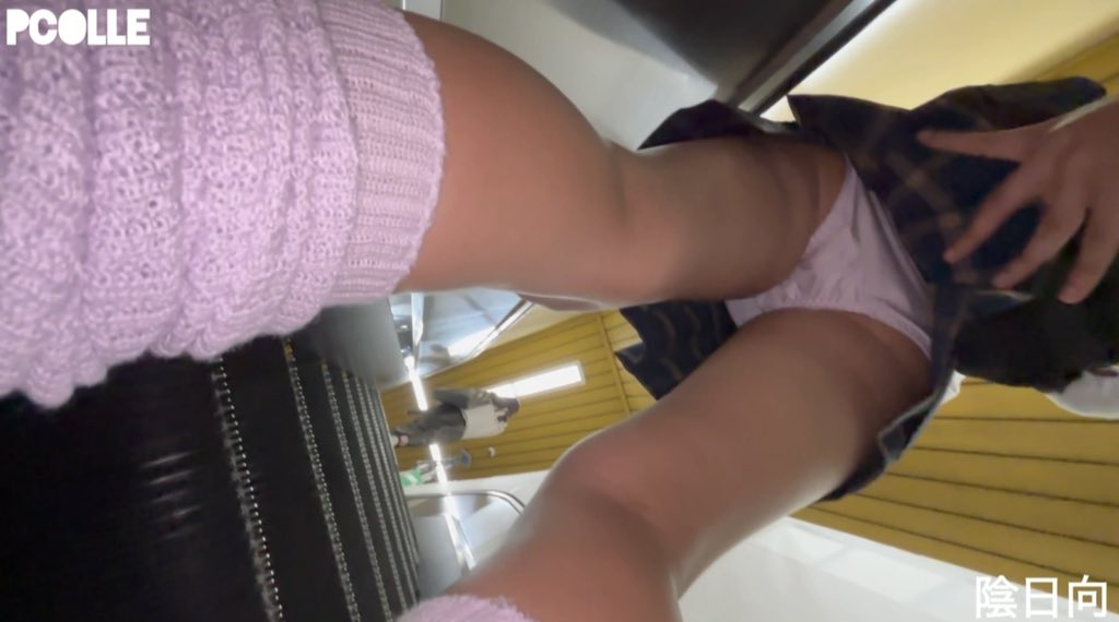 サンプル画像 5