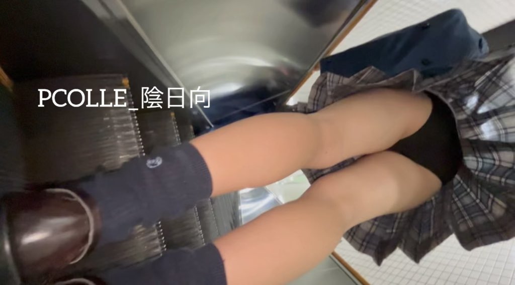 陰日向