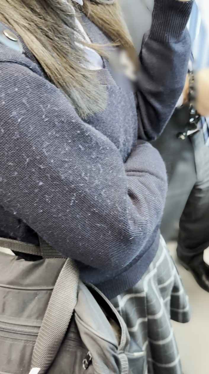 おっぱいマイスター