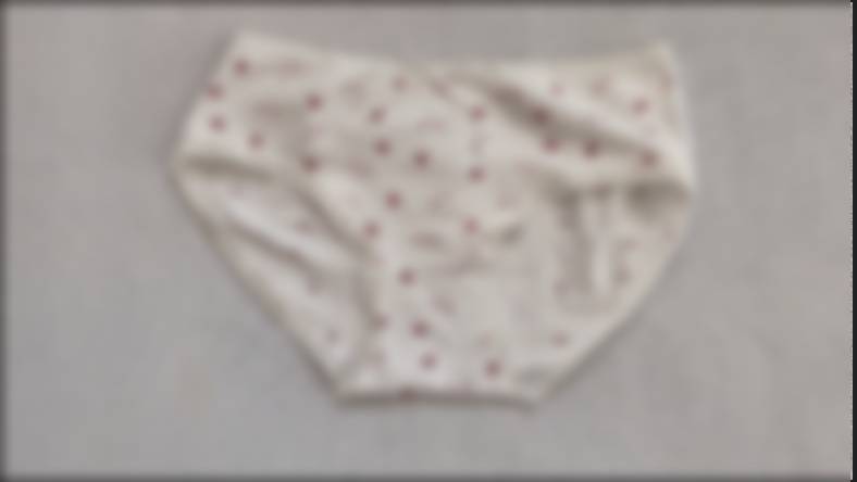 【「スカートの中」シリーズのショーツを公開・解説!】#2 ハート柄の白のコットン系ショーツ