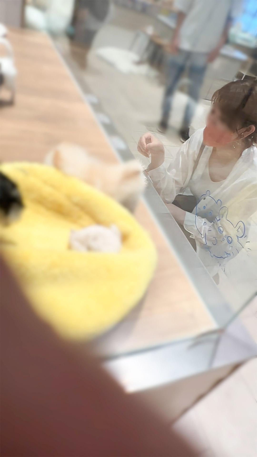 揉み師