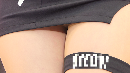 アクションびでお君!【恋する演奏家】