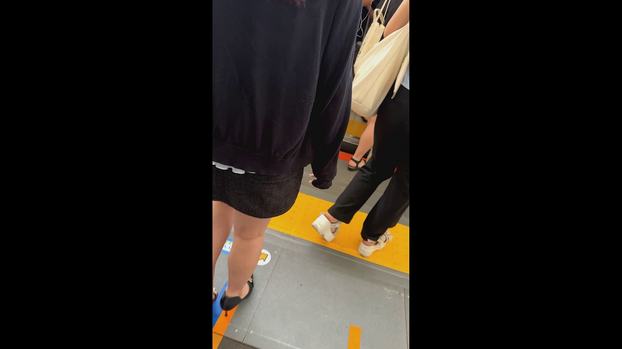 日本鉄道映像監視センター