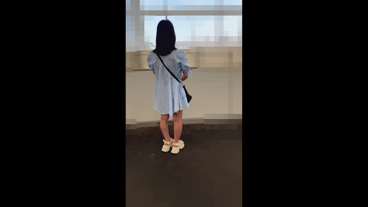 日本鉄道映像監視センター