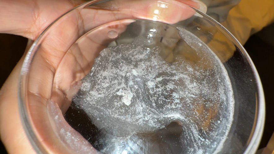 【再販】【個人撮影】渡来ふうの舌ブラシで「汚舌苔」採取