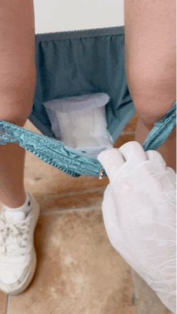 生態観察の世界