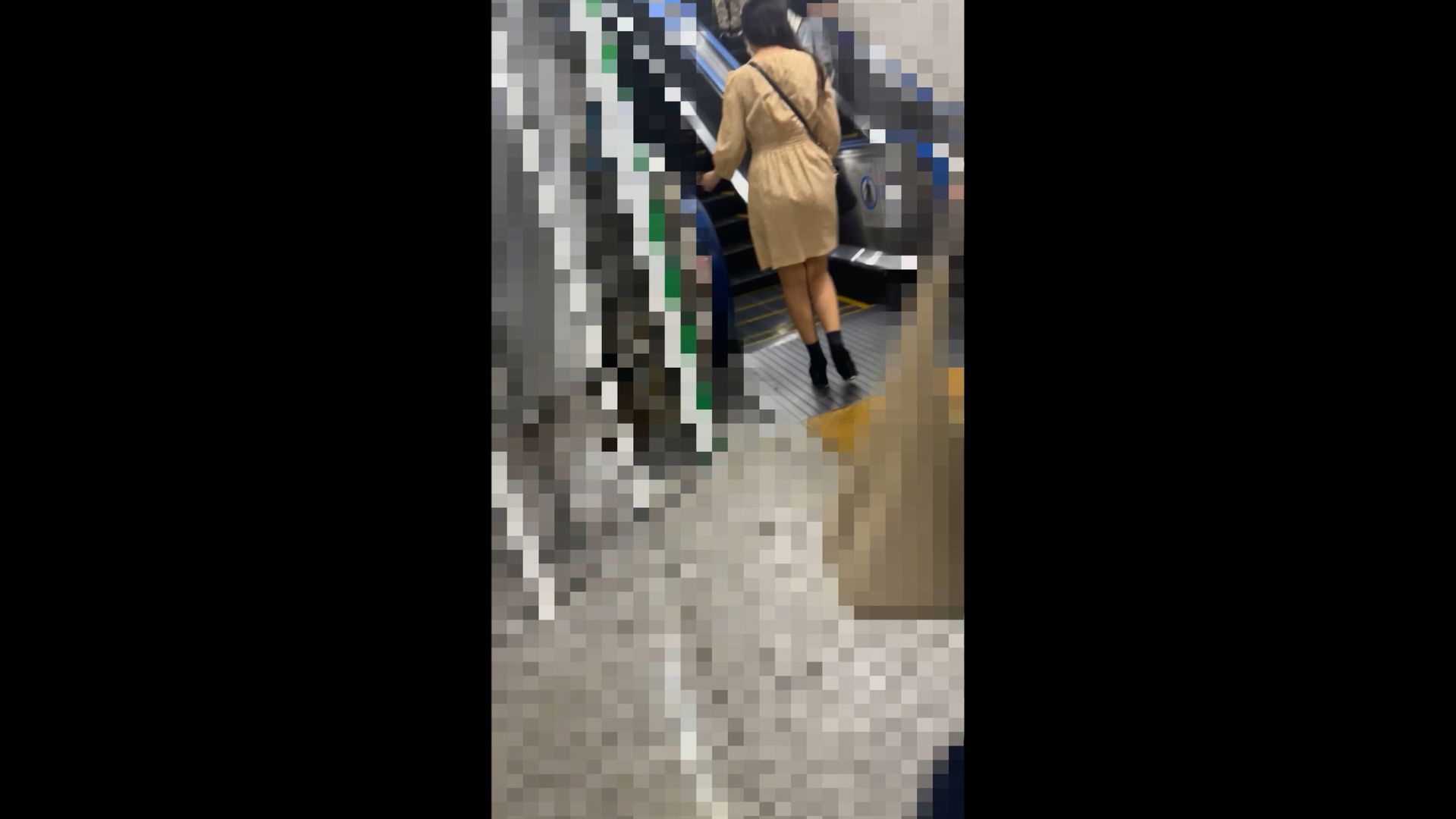 車内観測事務局