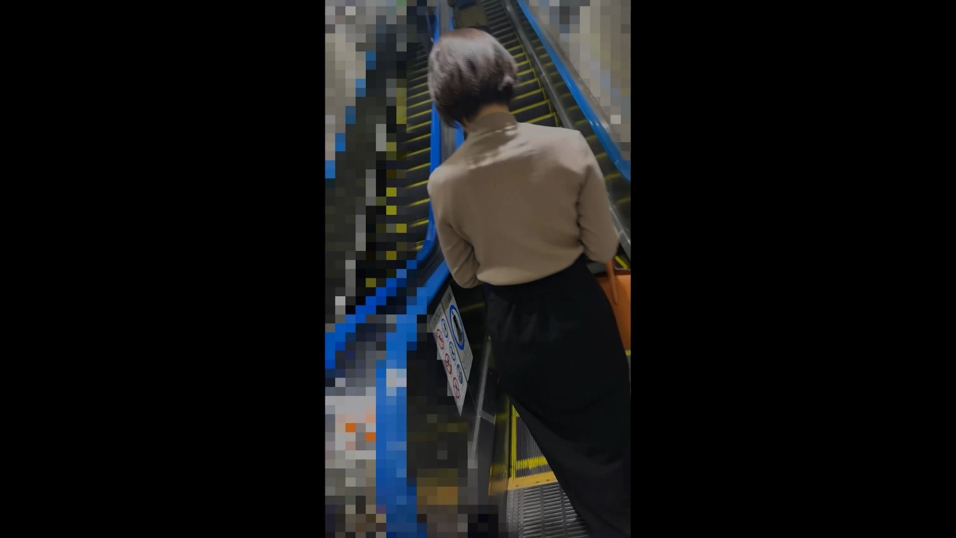 車内観測事務局