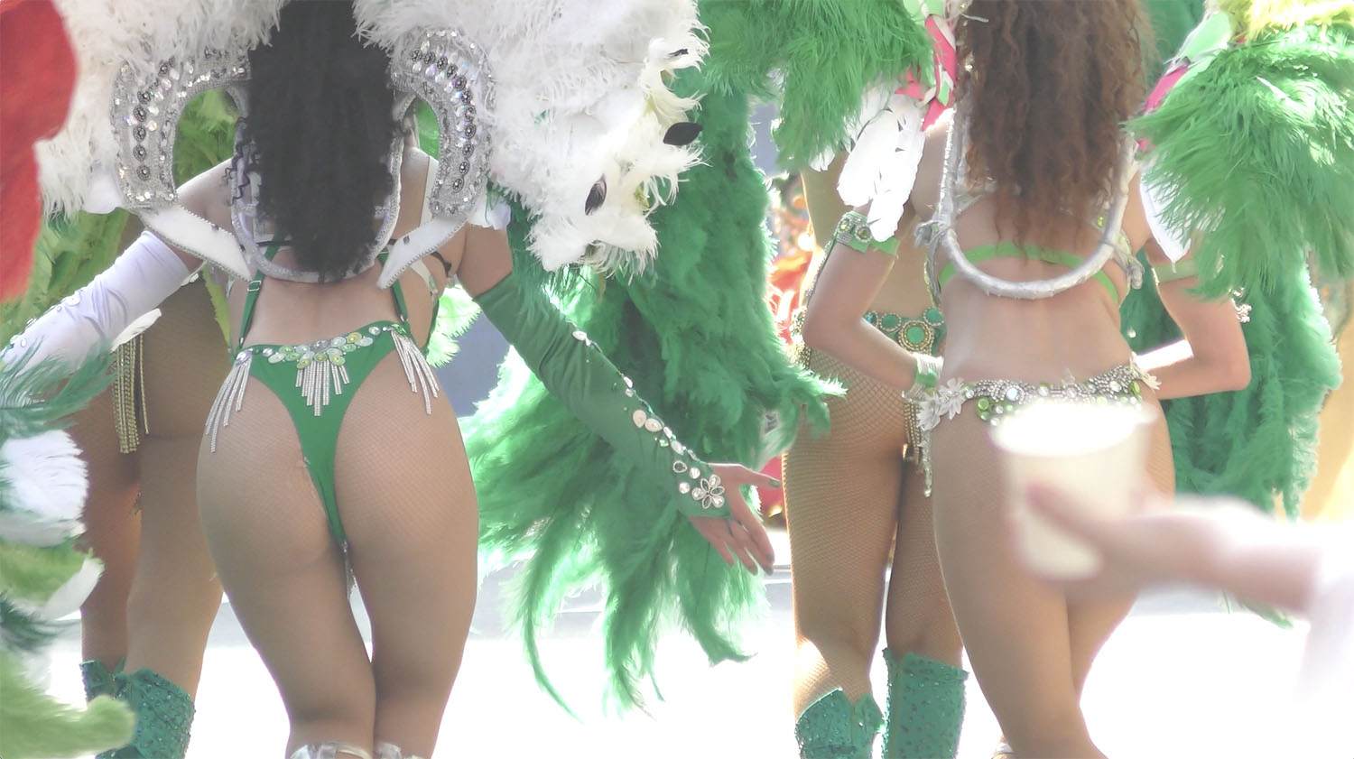 samba-exotica