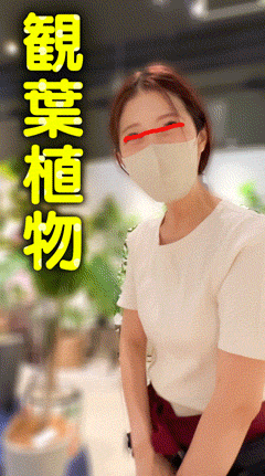 【店員さん胸チラB地区㊵】S級美女の観葉植物屋の店員さんのB地区とEカップむちむち本屋の店員さん