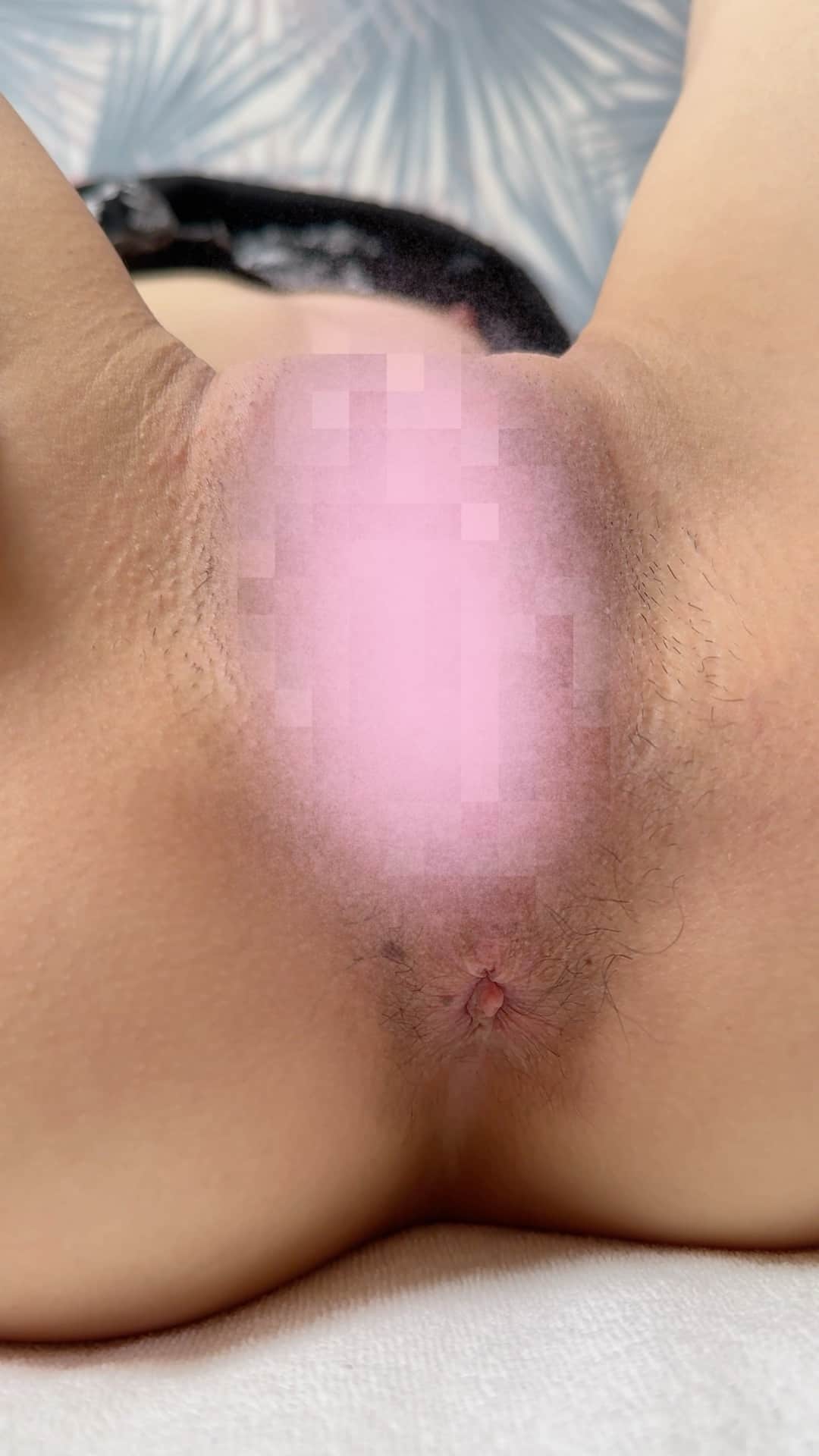 こっそりの世界