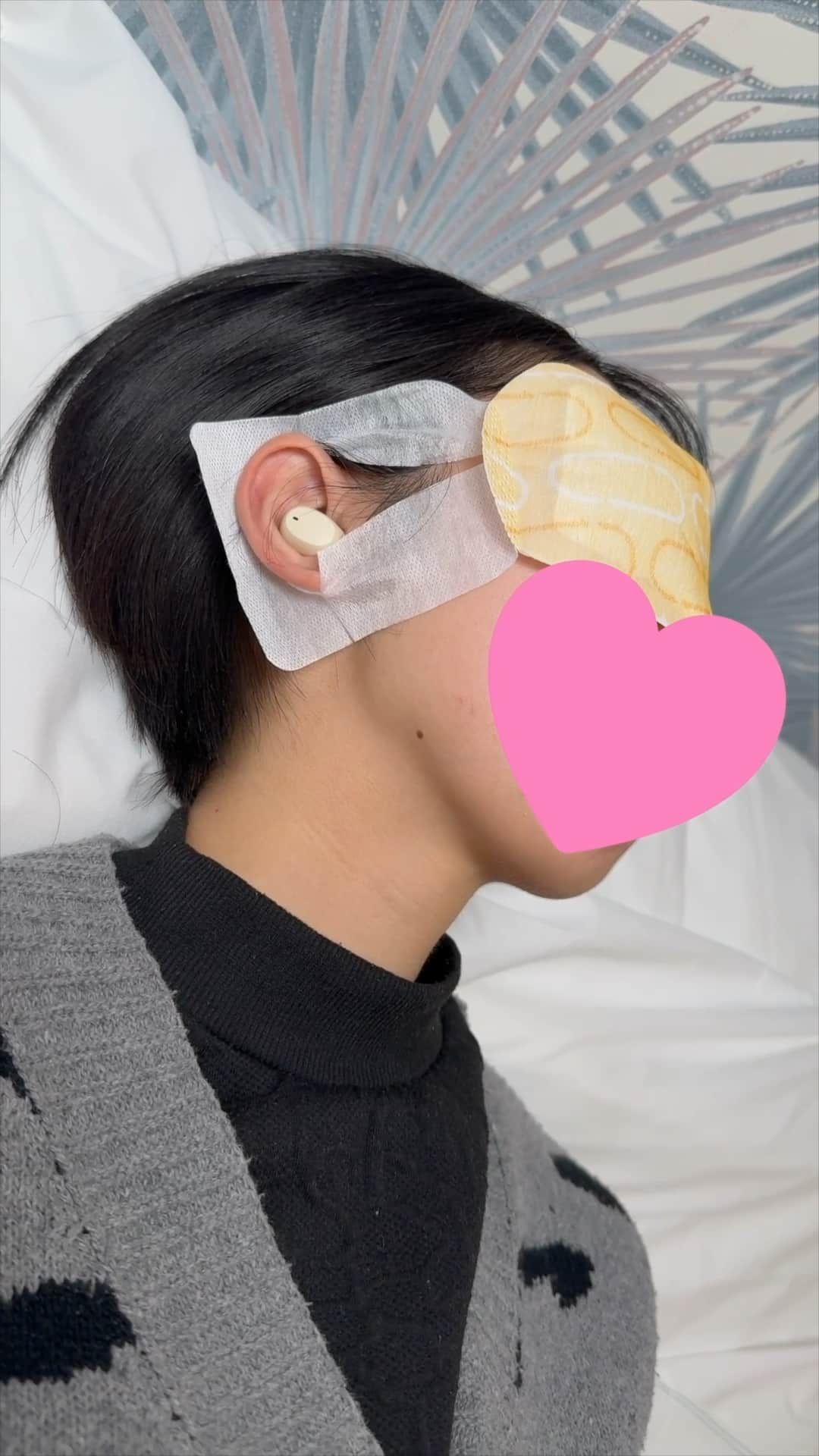 こっそりの世界