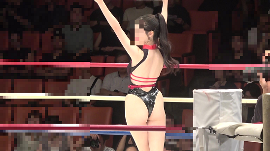 アクションびでお君!ハイレグあーるきゅー