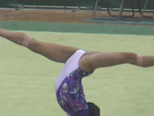 【再販】【期間限定公開作品】TZ-009 レオタード全国大会vol.9~レオタード後姿!試合後は審判席前に勢揃い!