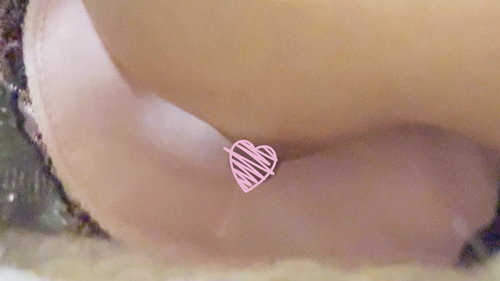 現場からは以上です